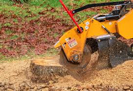 Reliable Spring Valley Lake, CA Tree Care Solutions